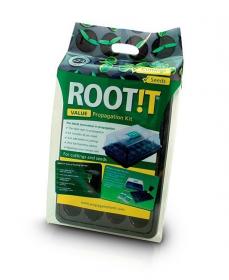 Kit de bouturage économique ROOT!T